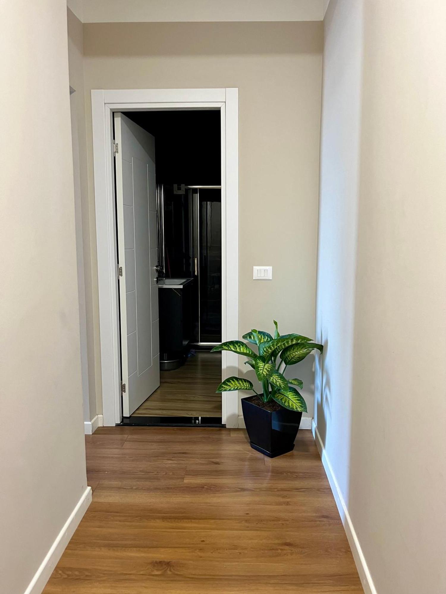 City Center Cozy Apartment Tirana Zewnętrze zdjęcie